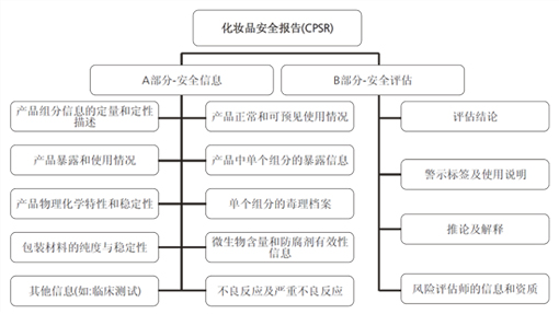 化妆品安全报告 化妆品安全报告